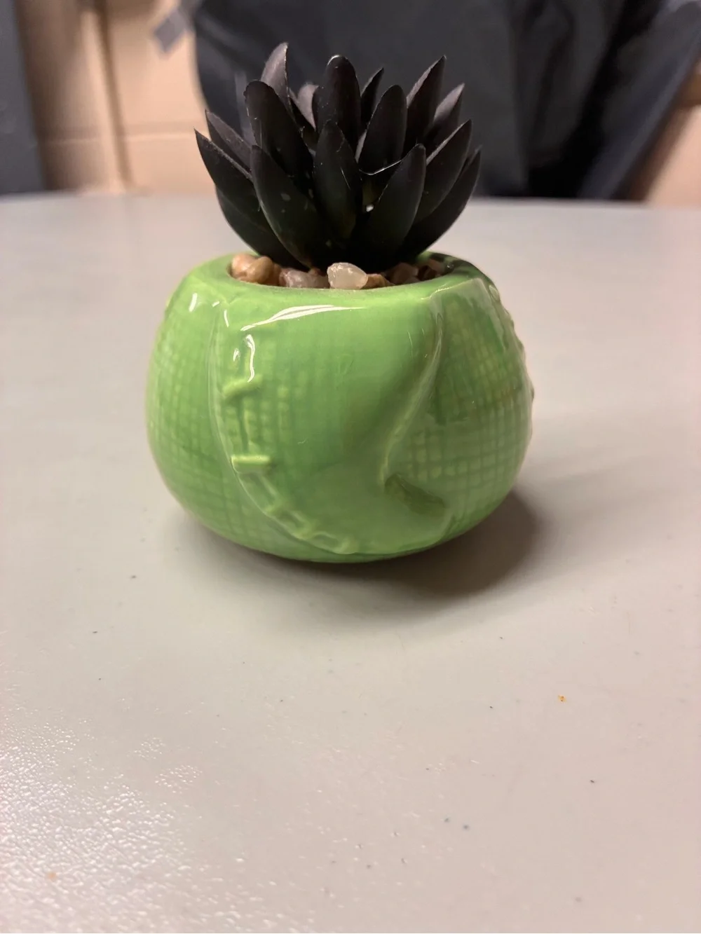 Nightmare Before Christmas- Oogie Boogie Ceramic Artificial Dark Succulent- Mini